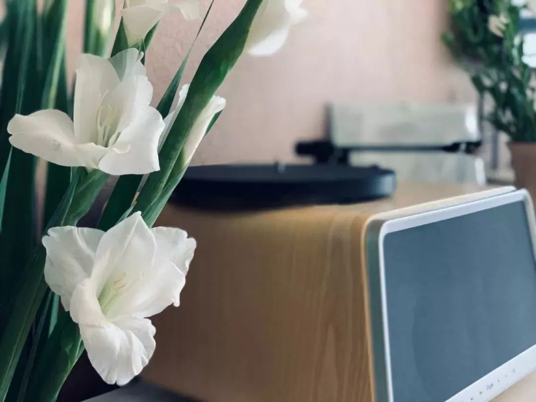 教师节应该给老师送什么花,教师节到了送什么花给老师好呢