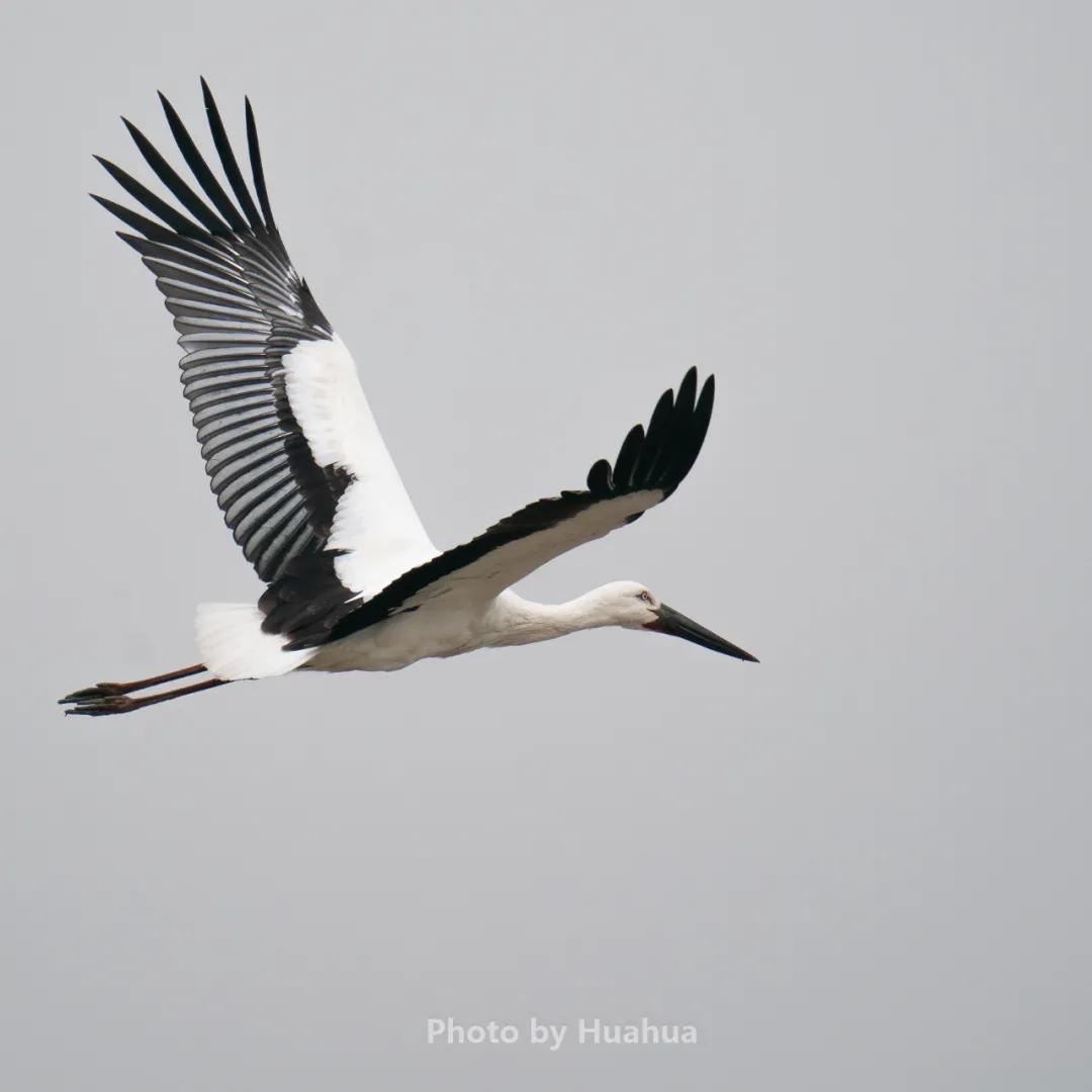 合肥融创茂宝藏秘境,合肥宝藏地
