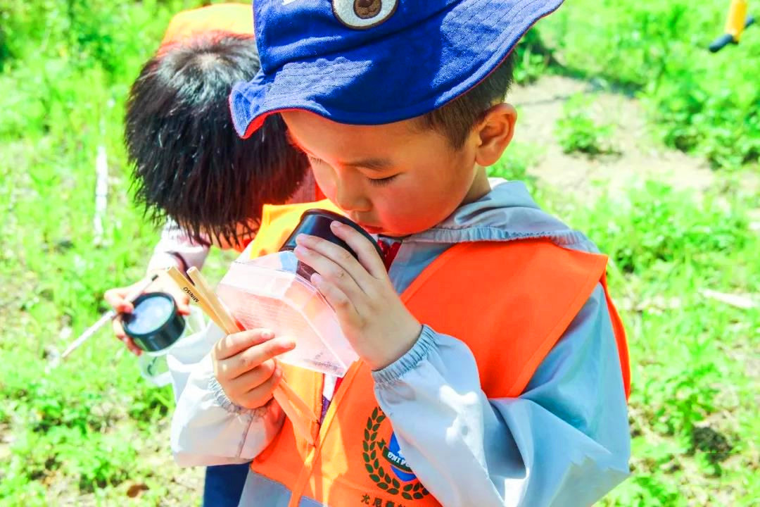 孩子不听话蝴蝶效应,小孩盲目跟风