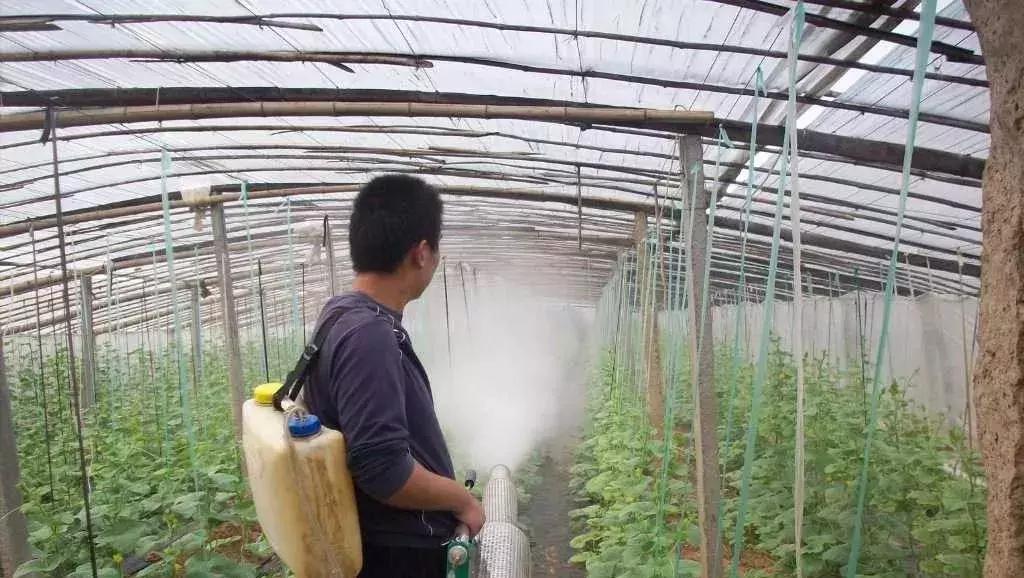 打农药安全注意事项和禁忌,农药用药注意事项