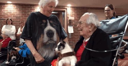 93岁奶奶恶搞27岁孙子一夜爆红！千万网友实力围观：奶奶太坑了！