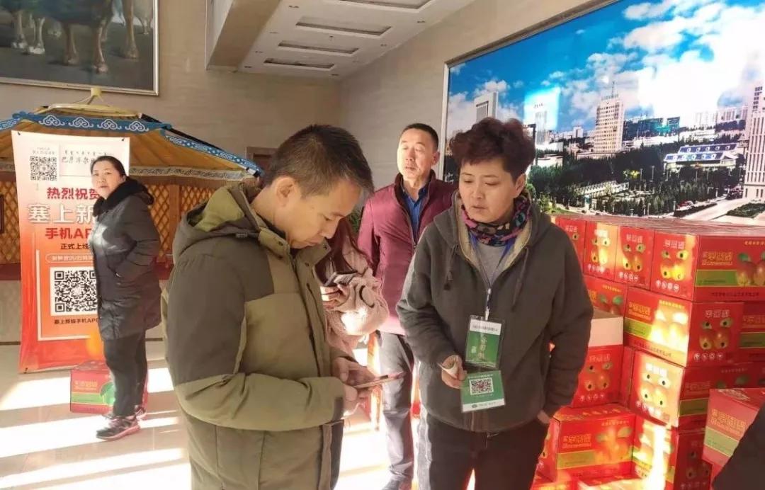 巴彦淖尔滞销梨,巴彦淖尔梨