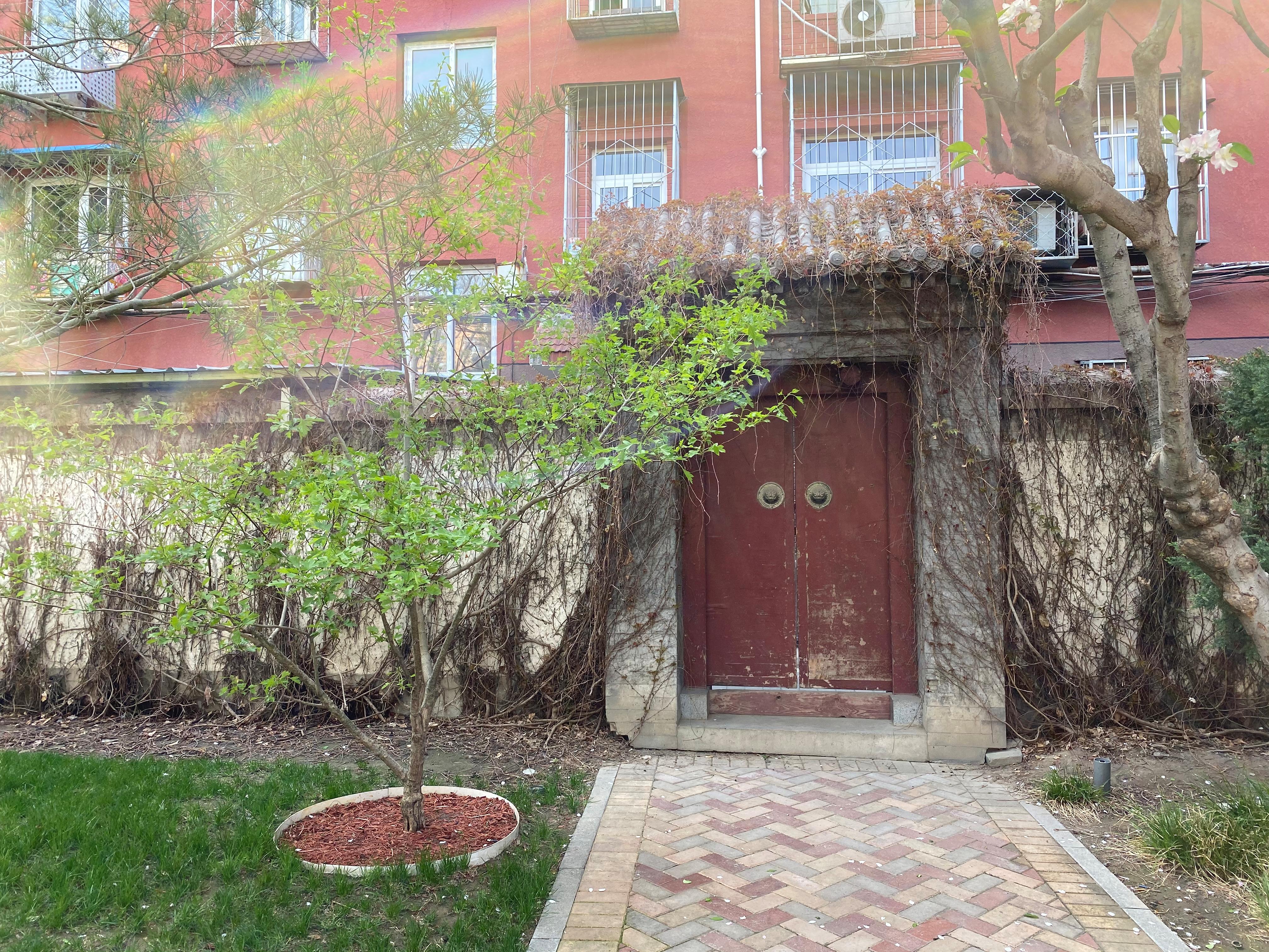 拍照教程教你如何拍出好看的照,教你4个技巧助你拍出光影美照