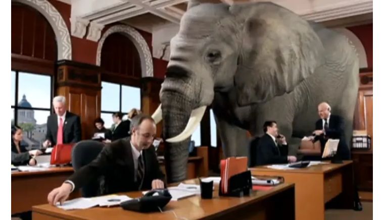 whiteelephant象征什么,whiteelephant代表什么含义