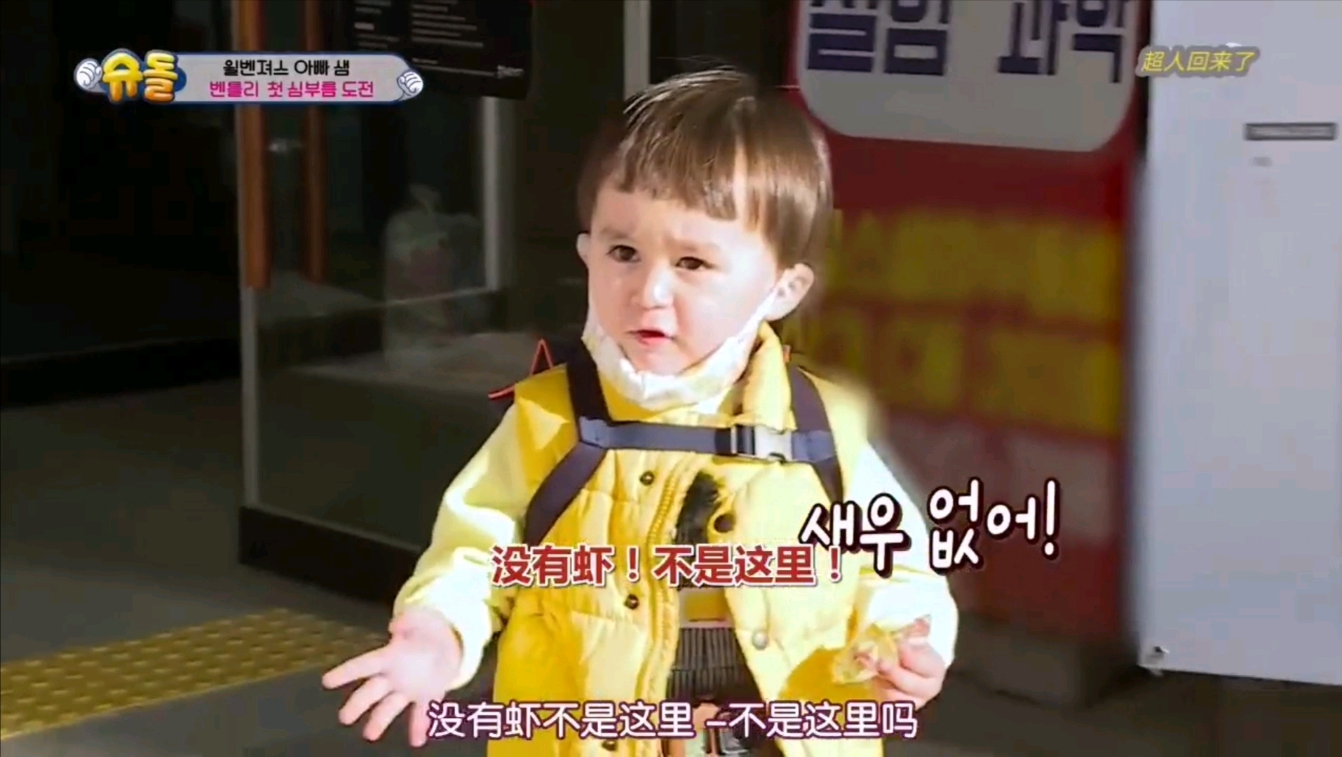 本特利的萌娃,本特利韩国萌娃