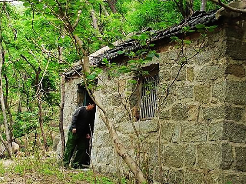 农村小伙投资种植中药材,农村种植致富项目中药材