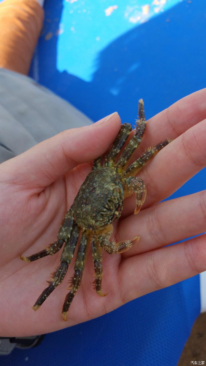 埃及10日游旅游攻略图,埃及六日游路线攻略图高清