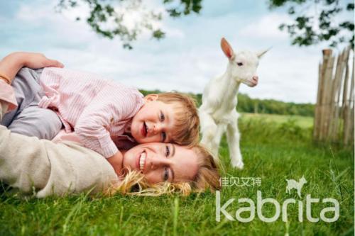 贝特佳羊奶和佳贝艾特羊奶哪个好,佳贝艾特羊奶哪个系列最好