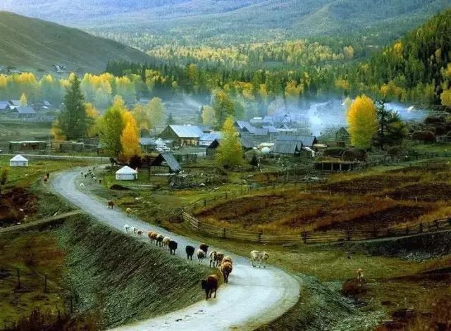 阿勒泰秋天有多美,秋天的新疆阿勒泰太美