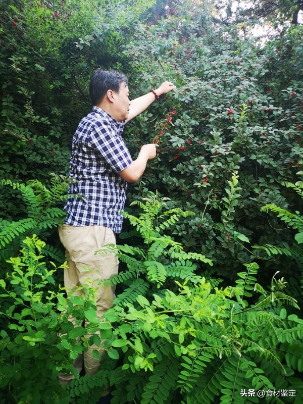 沈阳周边自然风光一日游的地方,沈阳隐秘的地方