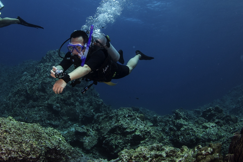 兰塔哈哈岛简介,泰国芭提雅兰岛潜水