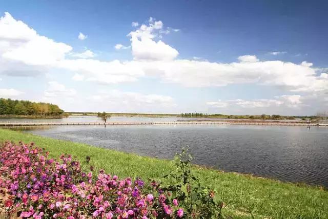 活成自己想要的模样沈北新区,你可能还不知道