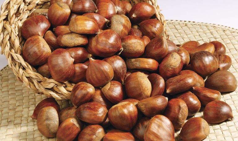 保存板栗一年不坏的办法,保存板栗要煮下水吗
