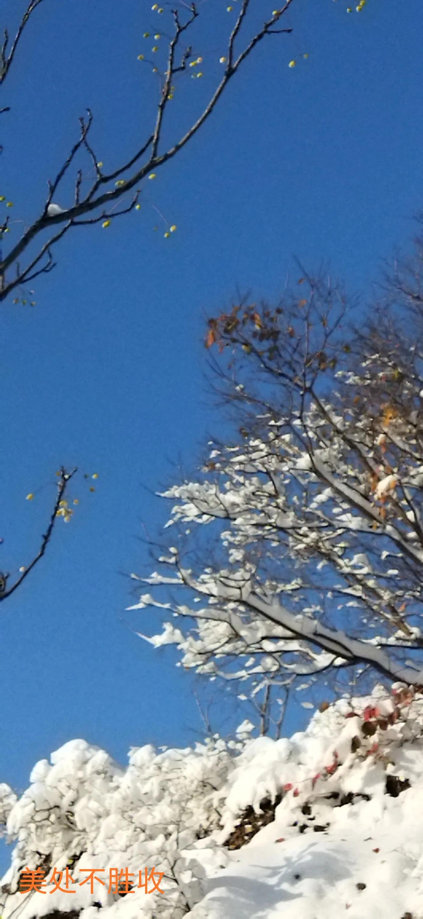 济南的冬天朗读完整版,济南的冬天是个美丽的地方改病句
