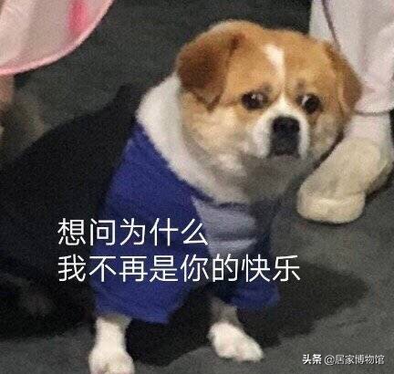 房间驱蚊虫好物推荐,居家好物驱蚊虫