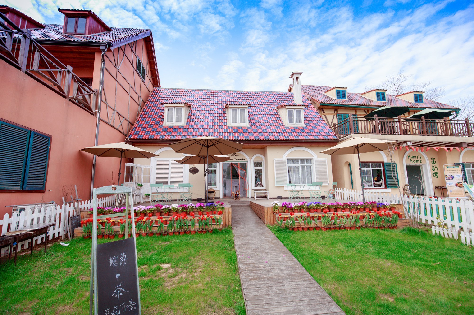 今日春分，武汉这时候不仅有樱花，这里的花随风一吹人都酥了