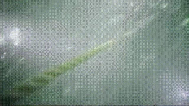 南海惊现神秘古沉船 (中国在南海发现的沉船)