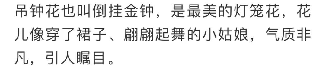 看到花的时候,不知是什么花?那就收下这份百花图谱