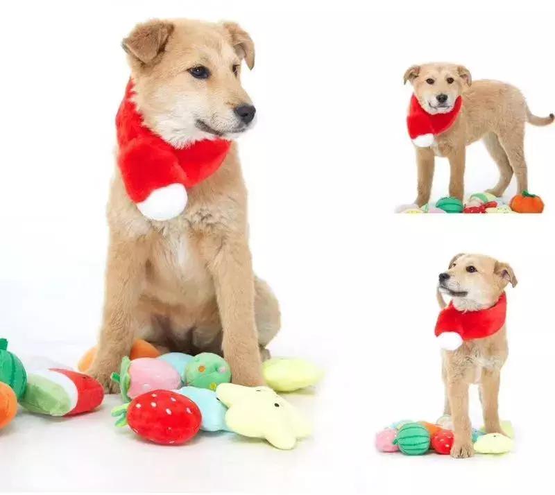 给它们一个家|线上宠物领养日,201903101