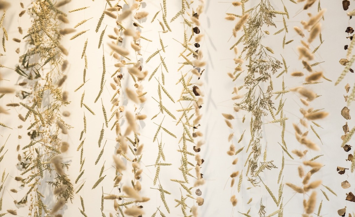 收藏春天的教程,怎么收藏春天