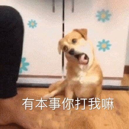 上班表情包我是自愿上班的,上班使我快乐表情包大全