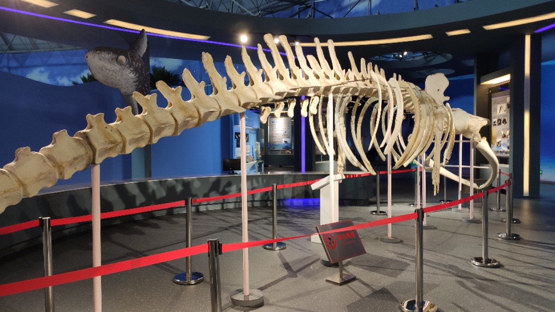 福州欧乐堡海洋世界家庭套票团购,福州欧乐堡海洋世界门票价格