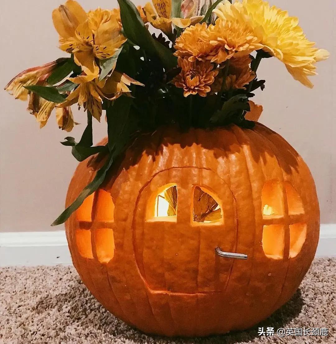 南瓜大作战任务,南瓜大作战活动攻略