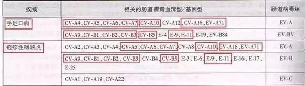 幼儿手足口病怎么传染的动画解说,手足口病儿童动画视频
