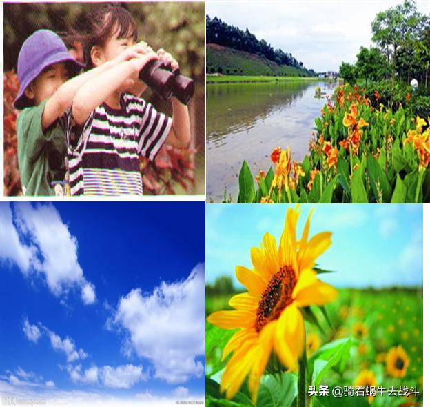 小朋友们如何治疗假性近视,小朋友假性近视怎么治疗