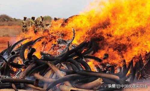 象牙的收藏方法,象牙工艺品检测真伪