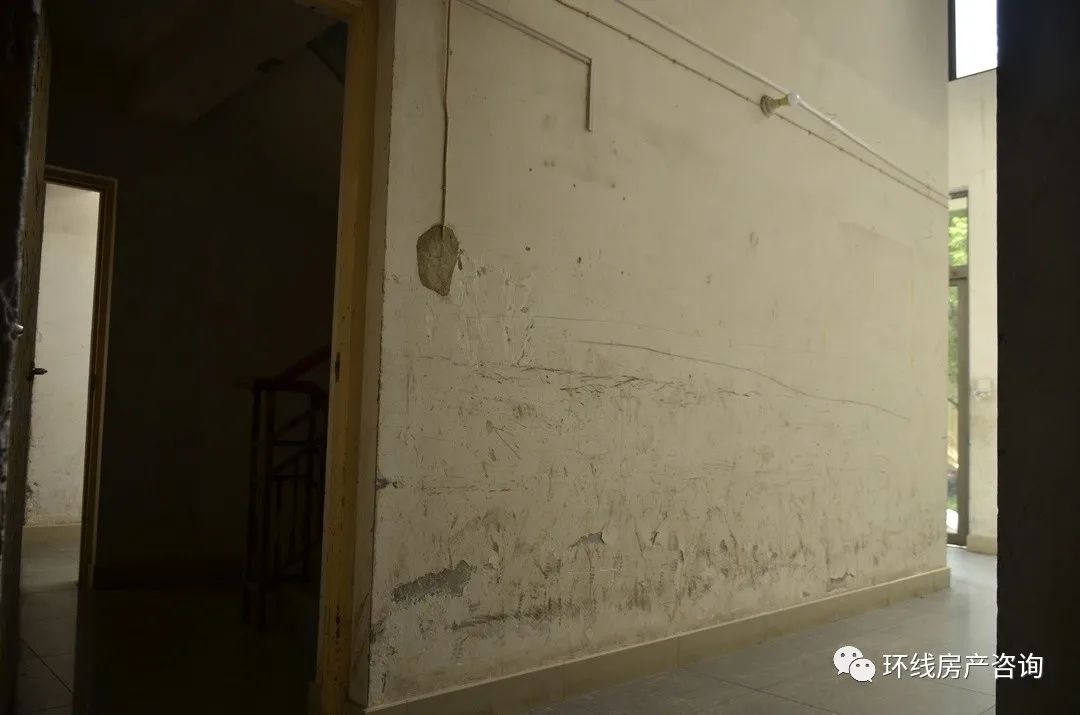 金桥近几年走势,金桥最新消息今天