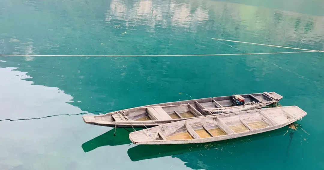 野奢不被鄙视?问问那些爱钓鱼的老孩子们,他们有活蹦乱跳的经验