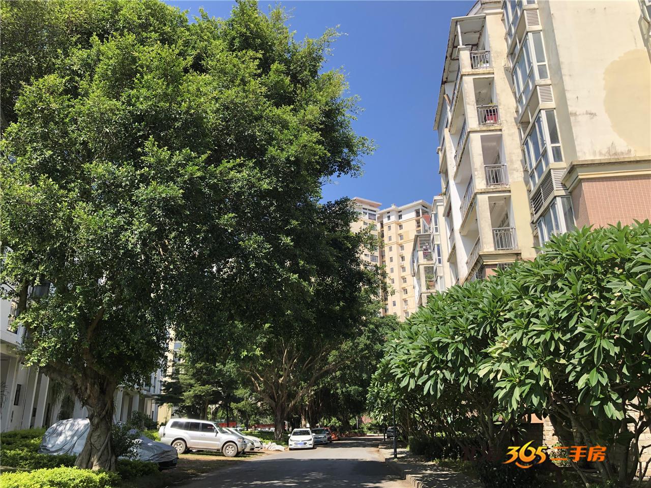 广西北海海枫和苑离银滩多远,北海海枫和苑小户型