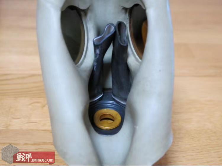 匈牙利陆军装备一览,西德人民军单兵装备