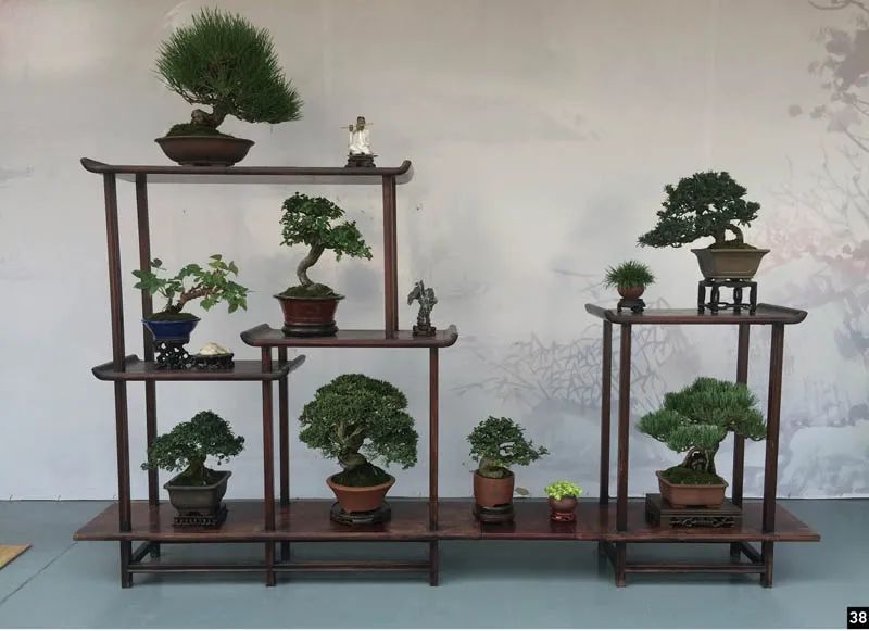 盆景修行,学习盆景技术最好的书