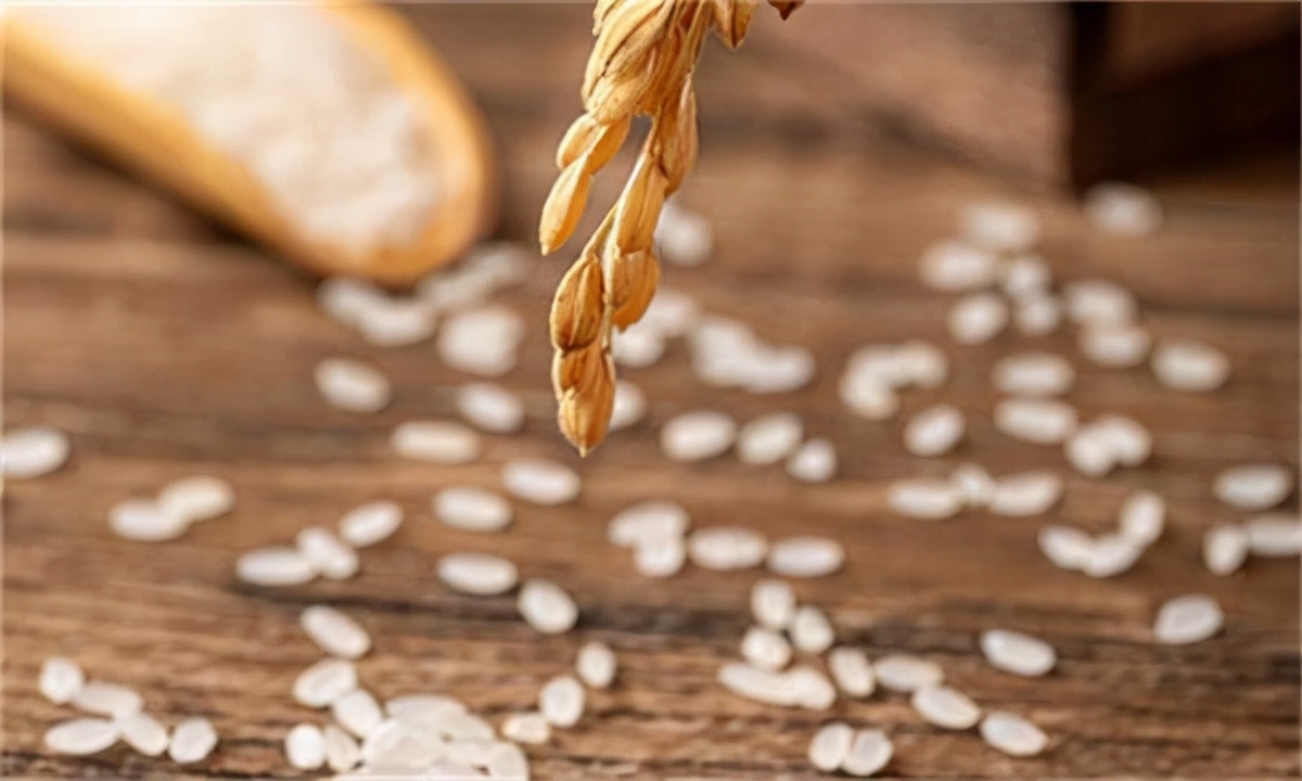 想做大米批发能赚钱吗,做大米批发好做吗