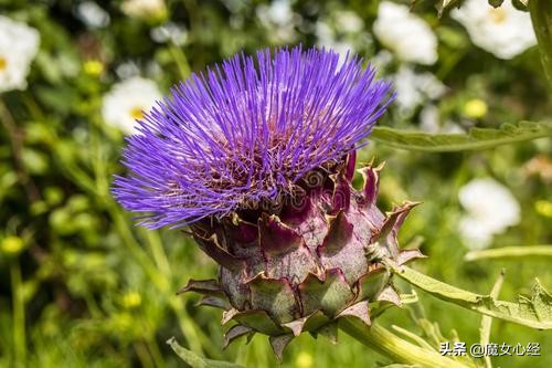 护肤品中的补水保湿成分,修护类护肤品适合哪些肤质