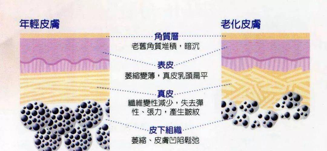 亲爱的，过了25岁，就不要心疼面膜和护肤品的钱了