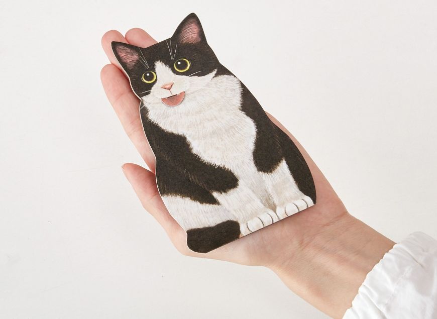 日本人又来骗猫奴们的钱啦!但我心甘情愿掏钱了!