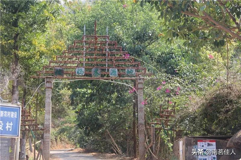 南糯山石头老寨普洱茶价格表,南糯山半坡老寨普洱茶老茶什么味