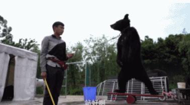 印尼富二代用儿童脊椎和鳄鱼舌头,24岁印尼富二代手拿爆人骨包