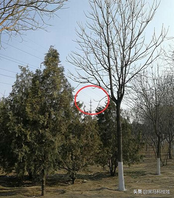 88式军用望远镜评测,中国93式军用望远镜