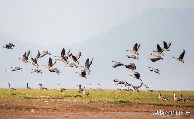 中国最大的市内湖,中国最大内湖视频