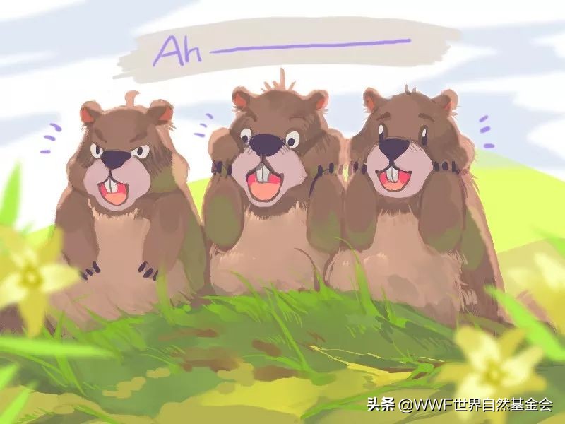 如何品味普洱茶,如何品味一杯红茶