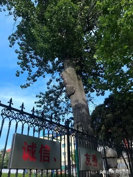 回忆中的老街在哪,记忆中的大连老街