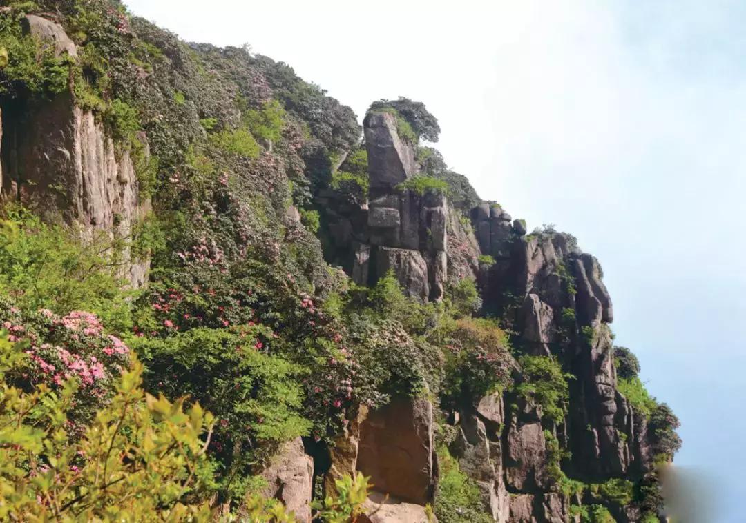 巴中光雾山讲解,巴中光雾山香炉山山顶风景