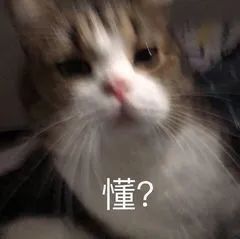 肖战粉丝必须知道的几件事,肖战粉丝格局分析