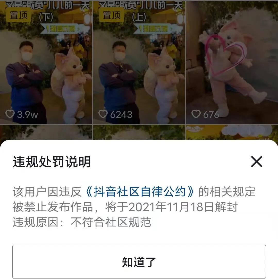 迪士尼帮拍价格,迪士尼和玲娜贝儿拍照要钱吗