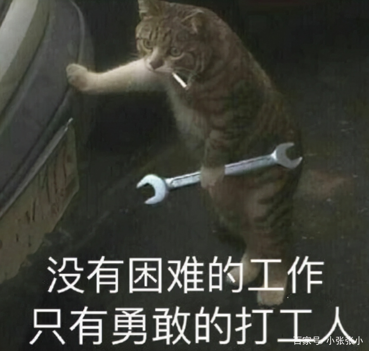 白百何门锁深度解析,门锁白百何深度解析