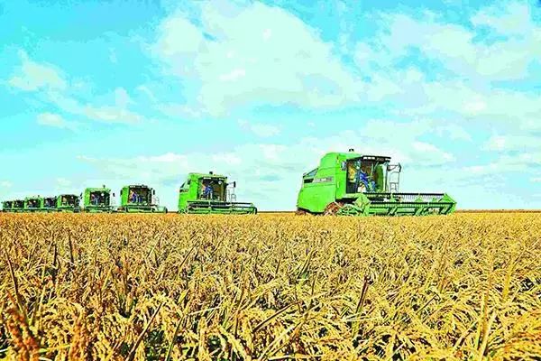 供销合作社对接农业,与供销社重点合作事项